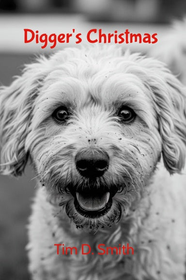 Book Cover Variant Thumbnail